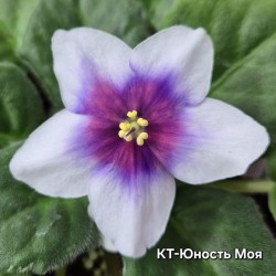 КТ-Юность Моя (Кабанова/Трофименко)